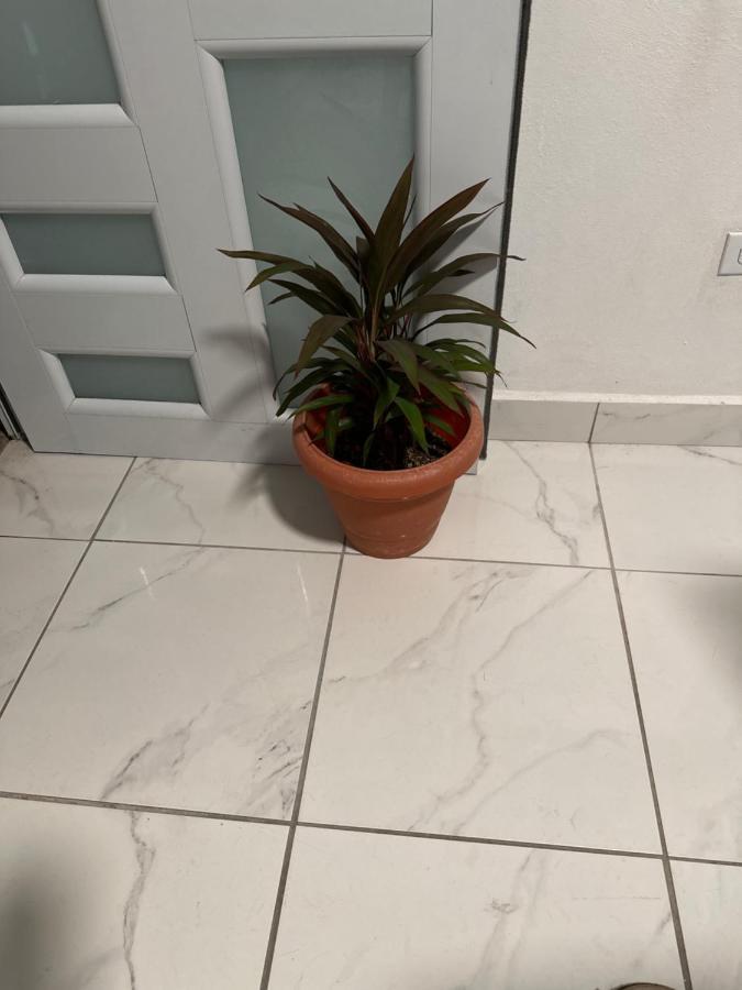 Ferienwohnung Second Floor 2Br Apt In The Center Of Santurce San Juan Exterior foto